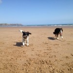 10530937_10152533501731005_737609868601877488_n