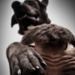 11990685_985696468118536_2566474373165933311_n