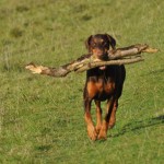 168172_10150113952047938_3909393_n