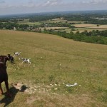 39074_415517332918_618390_n