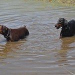 39074_415517347918_5637183_n